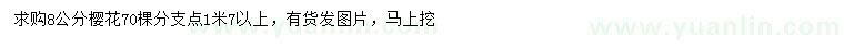 求購8公分櫻花