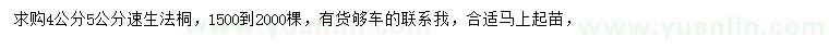 求購4、5公分速生法桐