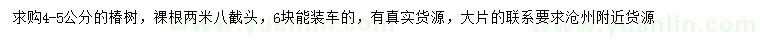 求購(gòu)4-5公分椿樹