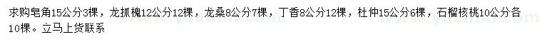 求購(gòu)皂角、龍爪槐、龍桑等
