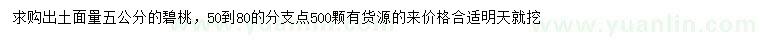 求購出土面量5公分碧桃