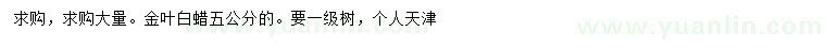 求購五公分金葉白蠟