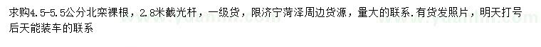 求購4.5-5.5公分北欒