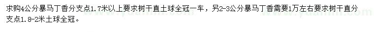 求購2-3、4公分暴馬丁香