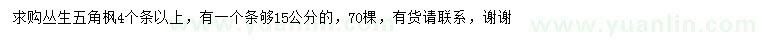 求購叢生五角楓