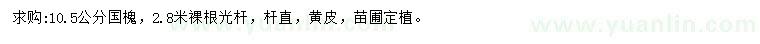 求購10.5公分國槐