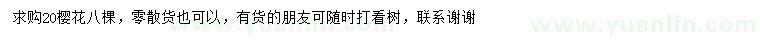 求購20公分櫻花