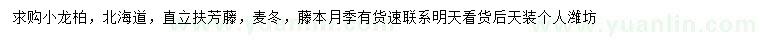 求購小龍柏、北海道、直立扶芳藤等