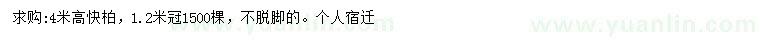 求購高4米檜柏