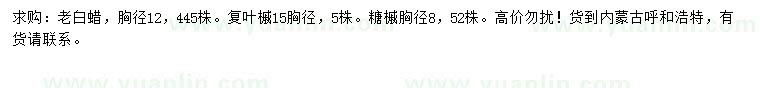 求購老白蠟、復(fù)葉槭、糖槭