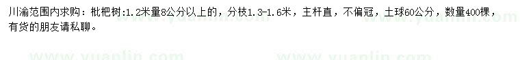 求購1.2米量8公分以上枇杷樹
