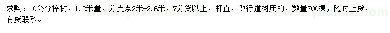 求購10公分櫸樹