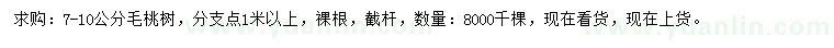 求購7-10公分毛桃樹