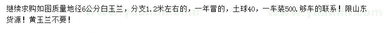 求購地徑6公分白玉蘭