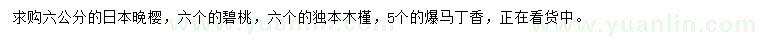 求購(gòu)日本晚櫻、碧桃、獨(dú)本木槿等