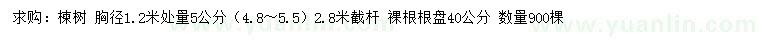 求購胸徑1.2米處量5公分楝樹