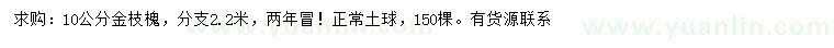 求購0公分金枝槐