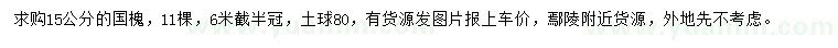 求購15公分國槐