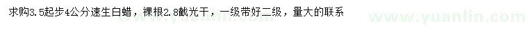 求購(gòu)4公分速生白蠟