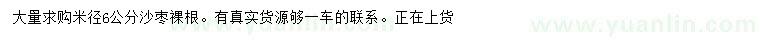 求購米徑6公分沙棗