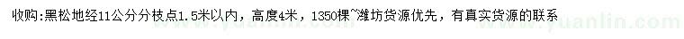 求購地徑11公分黑松