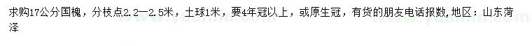 求購(gòu)17公分國(guó)槐