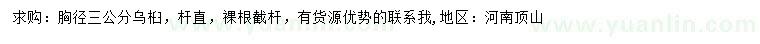求購(gòu)胸徑3公分烏桕