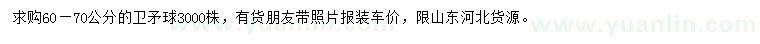求購60-70公分衛(wèi)矛球