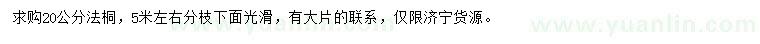 求購20公分法桐