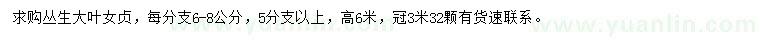 求購每分支6-8公分叢生大葉女貞