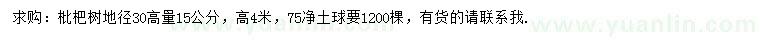 求購地徑30量15公分枇杷樹
