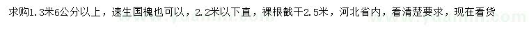 求購1.3米量6公分以上速生國槐