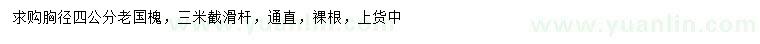 求購胸徑4公分老國槐