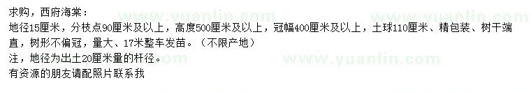 求購地徑15公分西府海棠