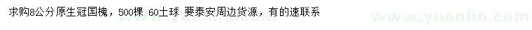 求購8公分國槐