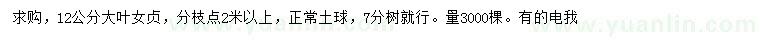 求購12公分大葉女貞