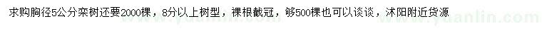 求購胸徑5公分欒樹