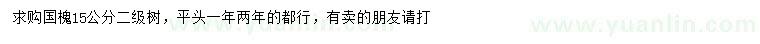 求購15公分國槐