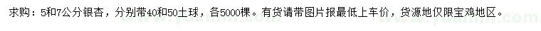 求購5、7公分銀杏