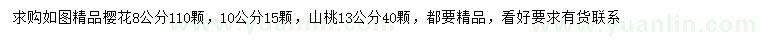 求購8/10公分櫻花、13公分山桃
