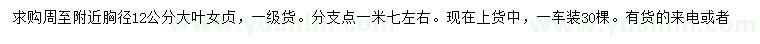求購胸徑12公分大葉女貞