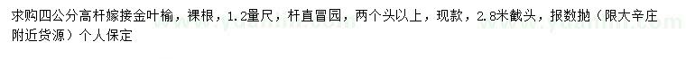 求購4公分金葉榆