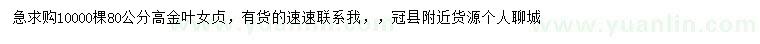 求購高80公分金葉女貞