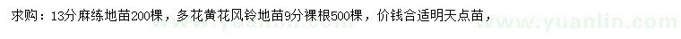 求購13公分麻楝、9公分多花黃花風鈴