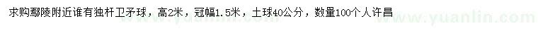 求購高2米衛(wèi)矛球