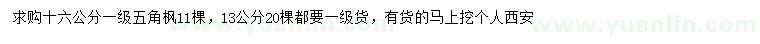 求購16公分五角楓