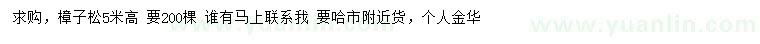 求購高5米樟子松