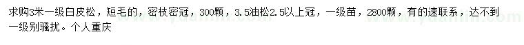 求購3米白皮松、3.5米油松