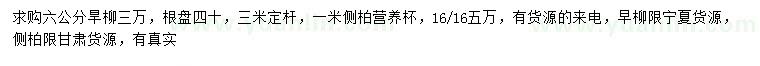求購6公分旱柳