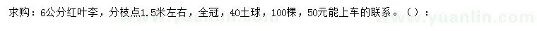 求購(gòu)6公分紅葉李